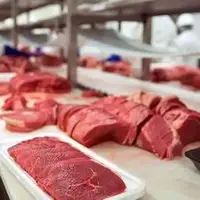 روایت رئیس اتحادیه گوسفندداران از بلایی که دلالها بر سر قیمت گوشت آوردهاند