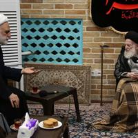 آیت‌الله شبیری زنجانی: فقاهت بدون فطانت برای قضاوت کافی نیست