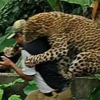 حمله پلنگ به نیروی پلیس در هند