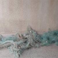 دستگیری یک شکارچی و یک صیاد در بیجار