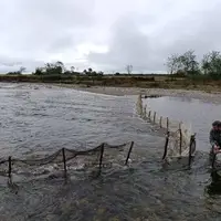 مشکلات سوخت صیادان آبادان بررسی شد