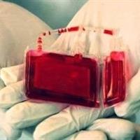 خون بندناف ۱۶۰۰ نوزاد ایلامی ذخیره شد