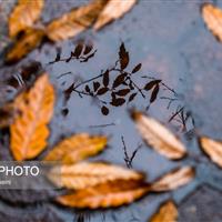 تقویت بارشها از امشب در زنجان