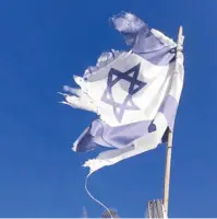 هاروارد برای «سقوط اسرائیل» آرشیو محرمانه جمع میکند