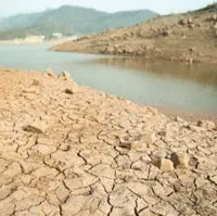 استاندار بوشهر: زنگ خطر خشکسالی به صدا درآمده است