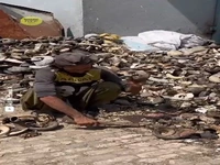 ماگ از جنس عاج فیل