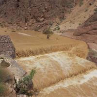 نیاز خراسان جنوبی به هشت هزار میلیارد تومان برای اجرای سازهای آبخیزداری