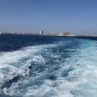 تلاطم آبهای غرب خلیج فارس با تشدید باد از فردا