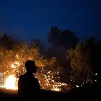 آتش در جنگلهای جاده چالوس