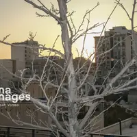 پاییز بی‌رنگ پایتخت