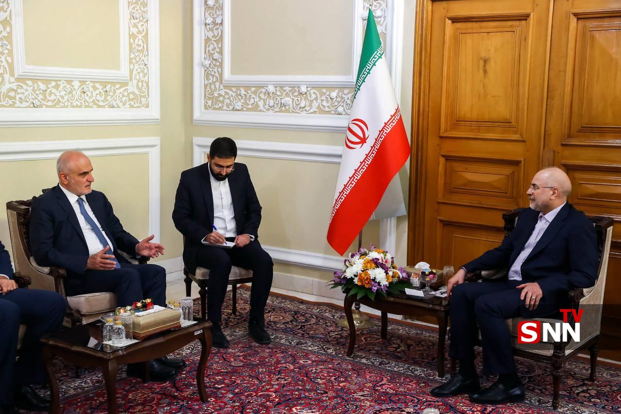 عکس/ دیدار معاون سیاسی رئیس مجلس لبنان با رئیس مجلس شورای اسلامی
