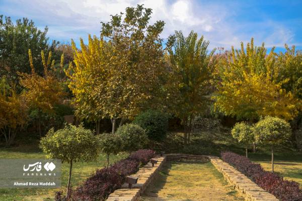 جلوه‌ای از پاییز باغ گل‌های شیراز