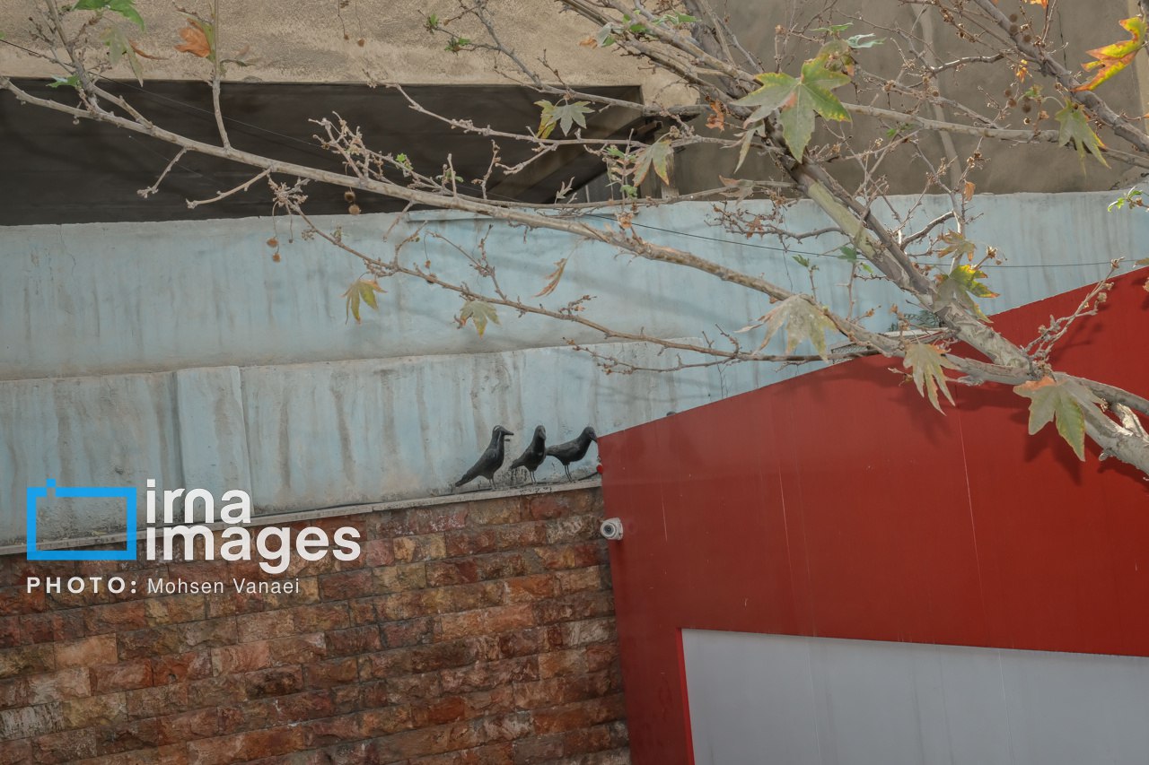 پاییز بیرنگ پایتخت