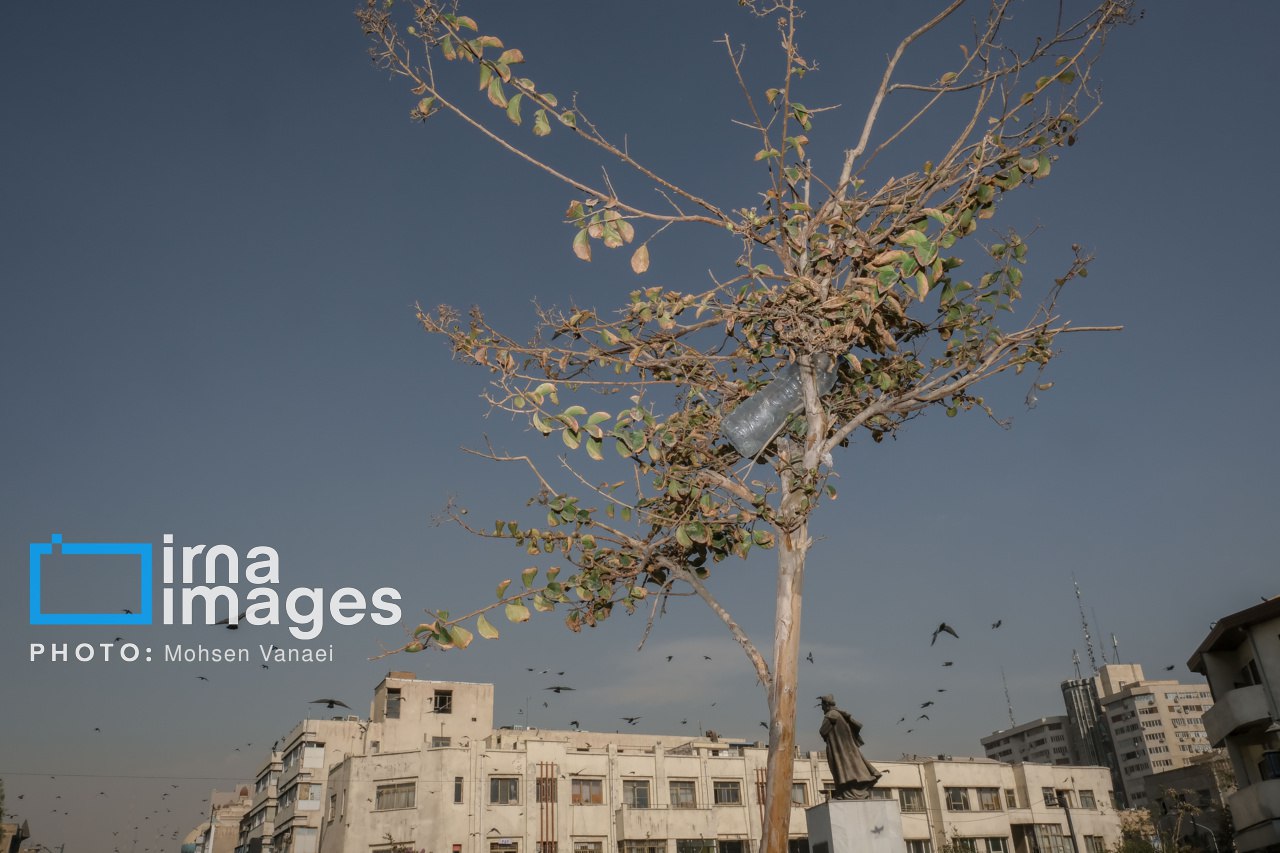 پاییز بیرنگ پایتخت