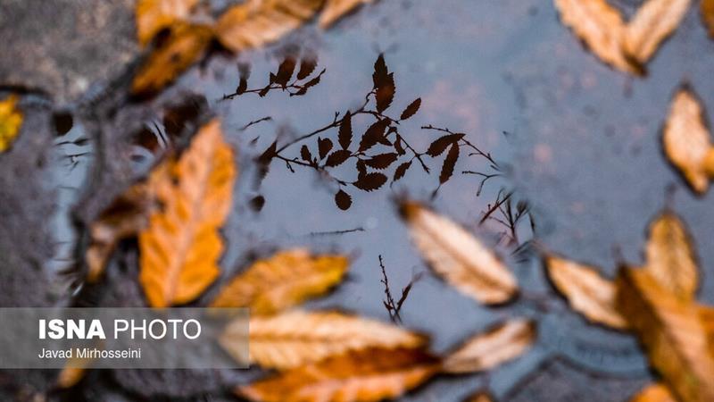 تقویت بارشها از امشب در زنجان