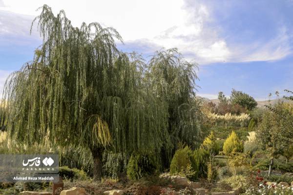 جلوه‌ای از پاییز باغ گل‌های شیراز