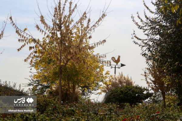 جلوه‌ای از پاییز باغ گل‌های شیراز