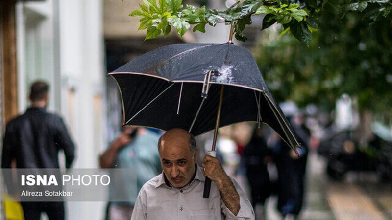 بارش قابل توجه باران در نقاط مختلف استان زنجان طی ۲۴ ساعت گذشته