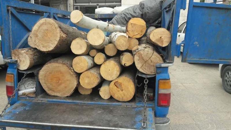 سه دستگاه وانت نیسان حامل چوبآلات جنگلی در اردبیل توقیف شد