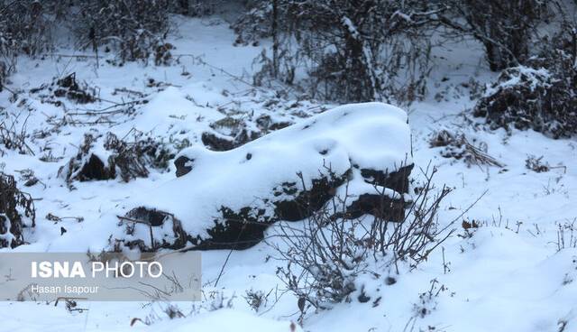 بارش برف در ارتفاعات مراغه و سونگون؛ هریس سردترین شهر آذربایجان شرقی