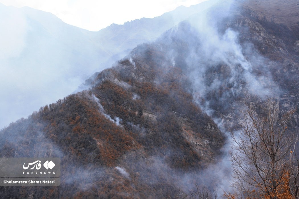 عکس/ آتشسوزی جنگلهای روستای الیت چالوس