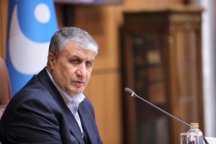 رئیس سازمان انرژی اتمی: ایران اجازه نمیدهد کسی اراده خود را بر آن تحمیل کند
