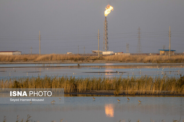 تنفس هوای آلوده در ۱۴ شهر خوزستان؛ ۷ شهر در وضعیت «ناسالم»