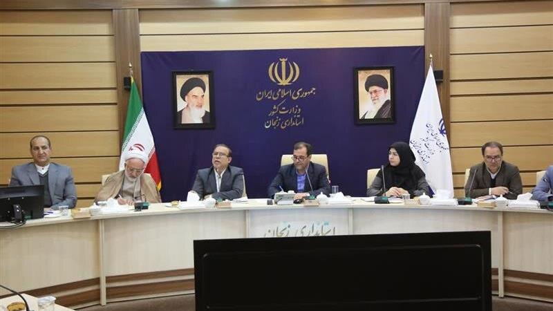 دبیر شورای مشاوران وزیران در امور ایثارگران: اجرای ناقص قوانین ایثارگران مانعی جدی در بهرهمندی جانبازان است