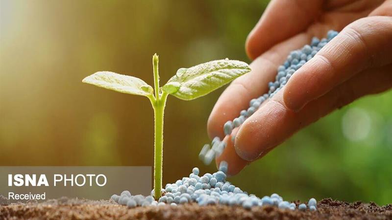 تامین و توزیع بیش از ۳۵ هزار تن انواع نهاده کشاورزی در زنجان