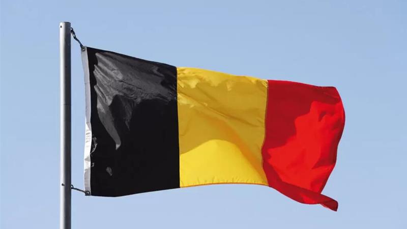 تظاهرات گسترده بلژیکیها در حمایت از فلسطین + عکس