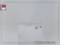 بارش برف در ایستگاه هفتم توچال