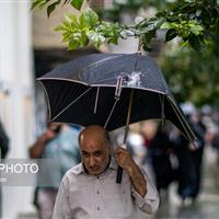 بارش قابل توجه باران در نقاط مختلف استان زنجان طی ۲۴ ساعت گذشته