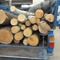 سه دستگاه وانت نیسان حامل چوبآلات جنگلی در اردبیل توقیف شد