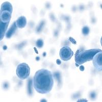 شعار و روزشمار هفته جهانی آگاهی از مقاومت میکروبی سال ۱۴۰۴ اعلام شد