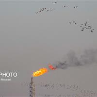 یک فلر در خوزستان خاموش شود، ۱۰ فلر دیگر روشن میشود/ تصویب اجرای سه طرح انتقال آب در خشکی پاییندست کارون