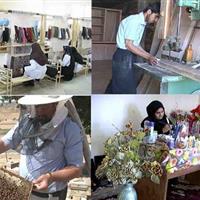 تمرکز بر توسعه مشاغل خرد در سراوان/
طرحهای حمایتی متناسب با نیازهای بومی طراحی شوند