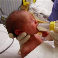 احساس مسئولیت مادرانه و تلاش بیوقفه برای نجات نوزادان نارس