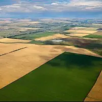 ۲۳۰۰ هکتار از اراضی کشاورزی لرستان به چرخه اقتصادی بازگشت