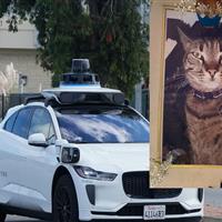 تشدید موج انتقادات از تاکسی رباتیک «ویمو» به دنبال مرگ یک گربه!