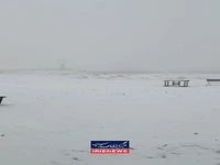 اولین تصاویر از بارش برف در ارتفاعات تهران