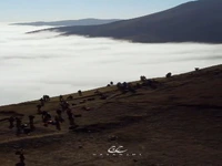 قوم تالش؛ ریشهدار، پاکدل و پیوندخورده با کوه و جنگل