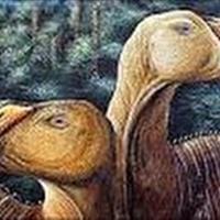 کشف گونه جدید دایناسور