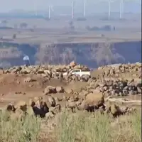 تجاوز دوباره اسرائیل به سوریه