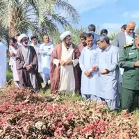 برگزاری نخستین جشنواره چای ترش در دلگان