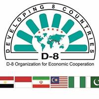 آغاز اجلاس وزرای بهداشت گروه 8-D در قاهره/ حضور هیات ایرانی به سرپرستی معاون وزیر بهداشت