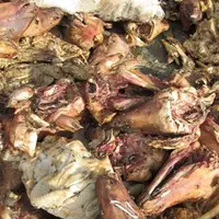 ۱۰ تن کلهپاچه فاسد در انبار غیرمجاز ملکشهر اصفهان کشف شد