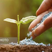 تامین و توزیع بیش از ۳۵ هزار تن انواع نهاده کشاورزی در زنجان