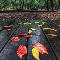 بارش مؤثر اما ناکافی در کرمانشاه؛ اهمیت مصرف درست آب پررنگتر شد