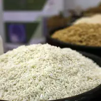 کامیون حامل بار برنج قاچاق در چهارمحال و بختیاری توقیف شد