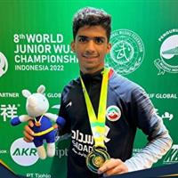 طلای مسابقات کشورهای اسلامی گردن آویز ووشوکار استان